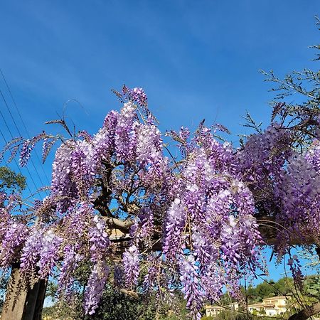 Appartements Dans Villa En Rez De Jardin Hyères Dış mekan fotoğraf
