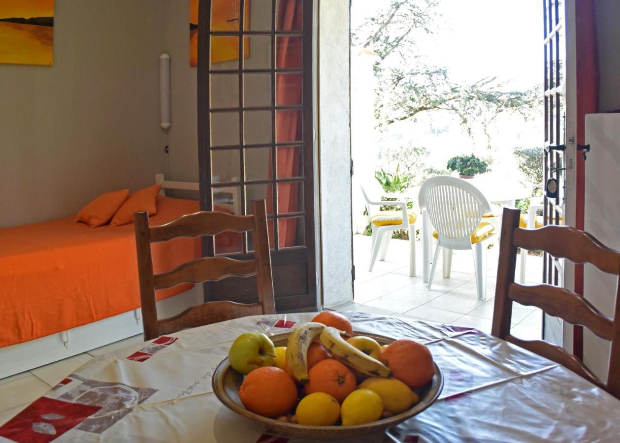Appartements Dans Villa En Rez De Jardin Hyères Dış mekan fotoğraf