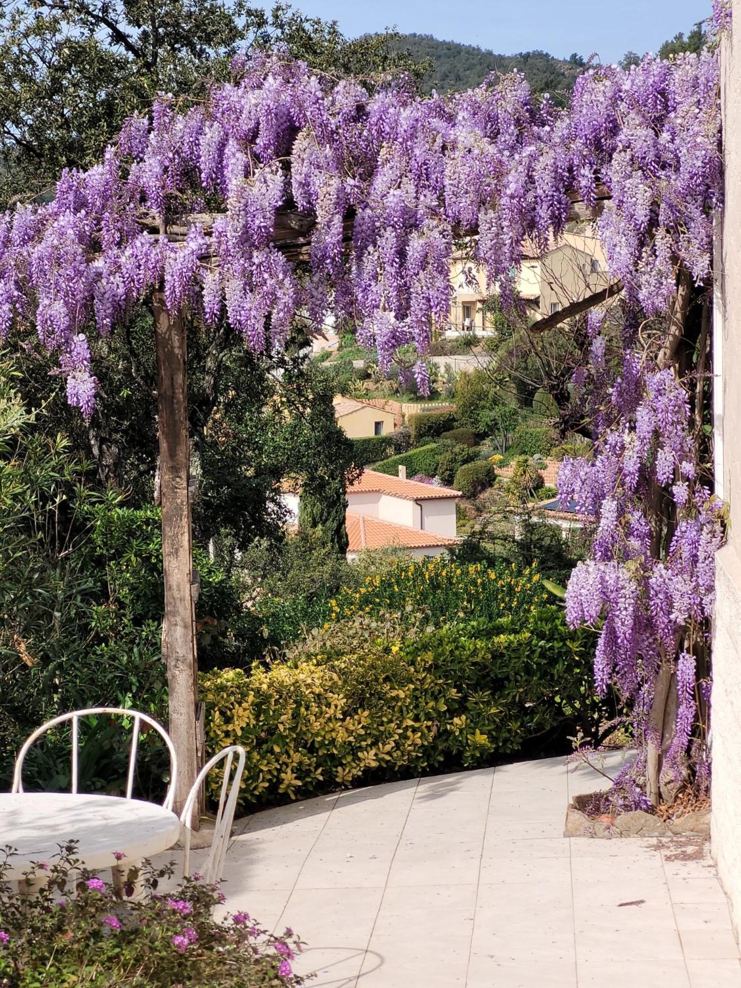 Appartements Dans Villa En Rez De Jardin Hyères Dış mekan fotoğraf