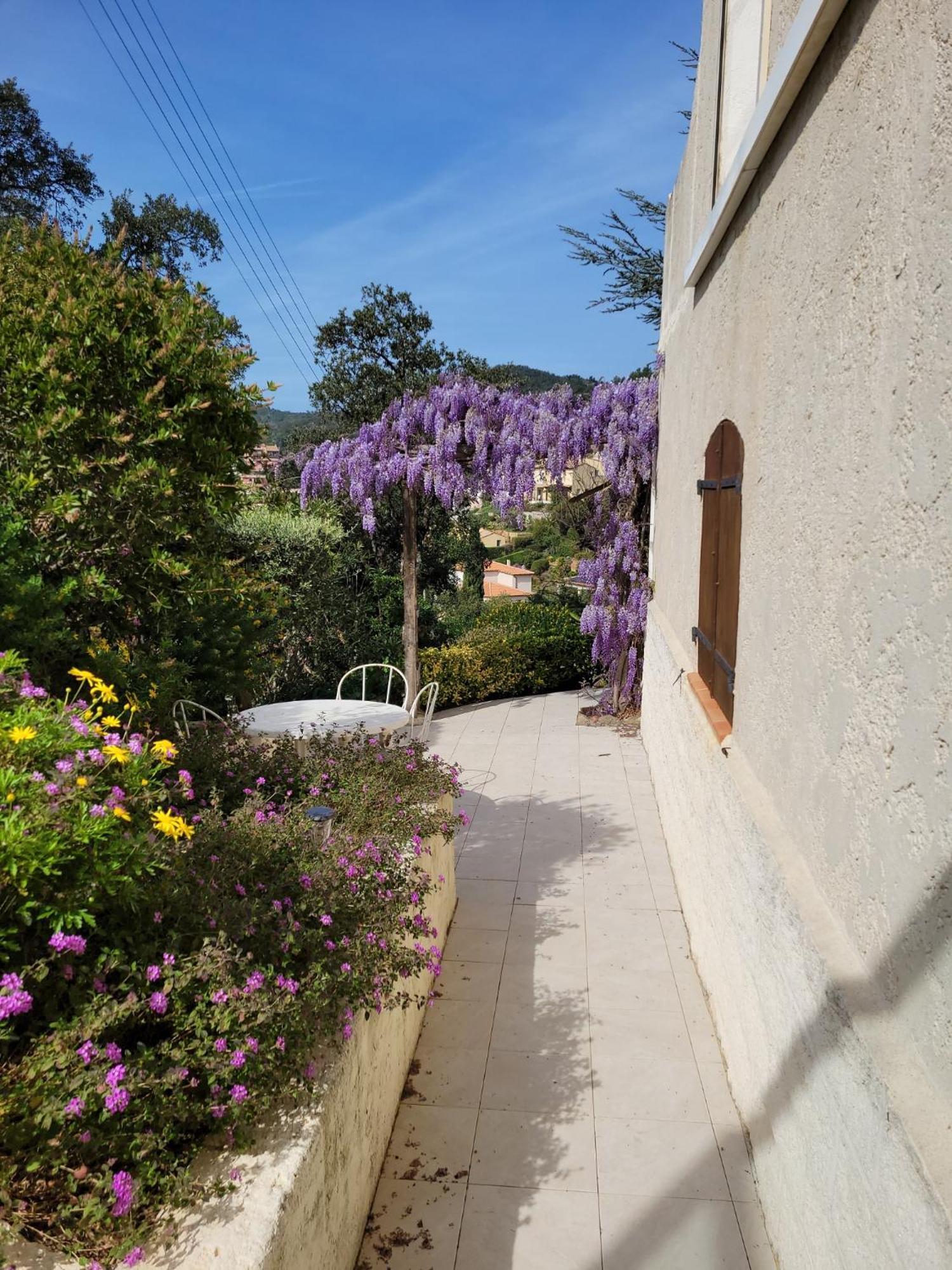 Appartements Dans Villa En Rez De Jardin Hyères Dış mekan fotoğraf